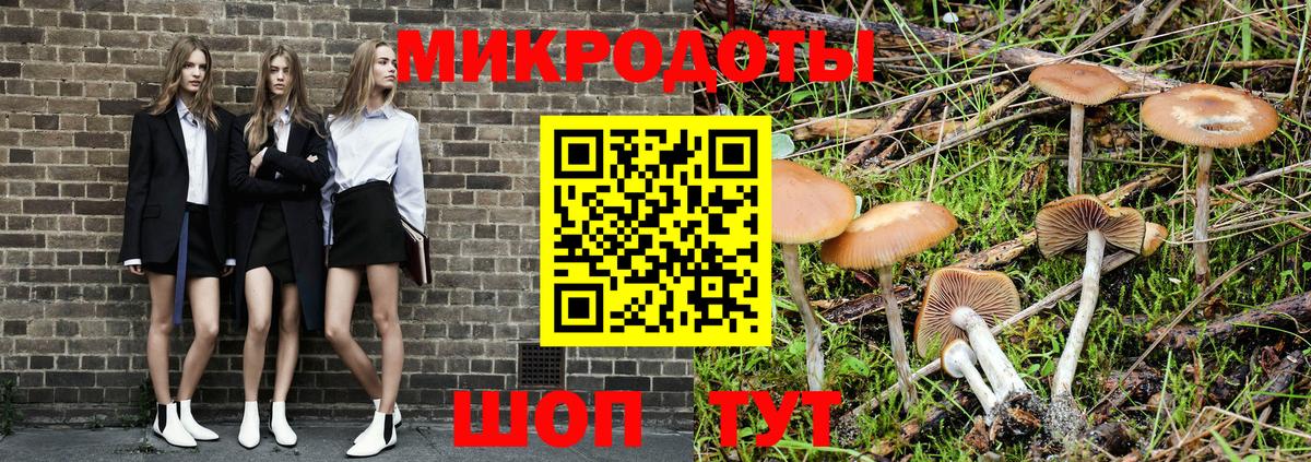 Амурск  Псилоцибиновые грибы Psilocybe  Вход с VPN 